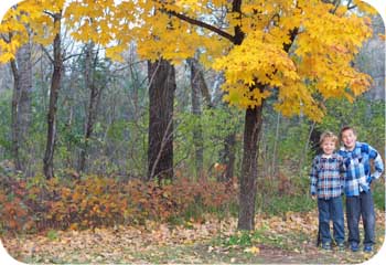 Real Estate for Physicians: Location, Location, Location, Location 4 yellow maple family picture