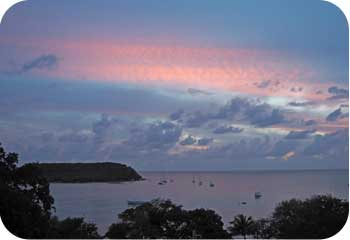 vieques