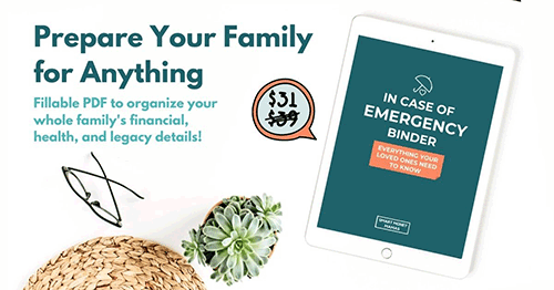 Paying Yourself First – 6 Ways to Automate Your Financial Life 17 ICE_BINDER_SALE