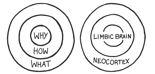 2-why-messaging-and-limbic-system