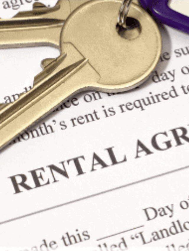 5 Reasons You Should Not Self Manage Rental Properties Story 5 Reasons You Should Not Self Manage Rental Properties Story
