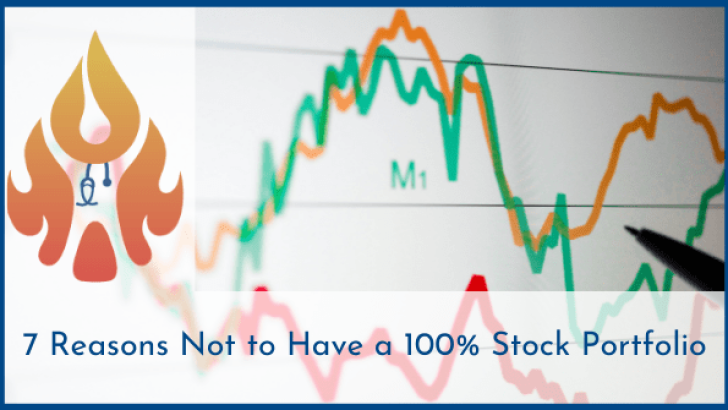 100 stock portfolio