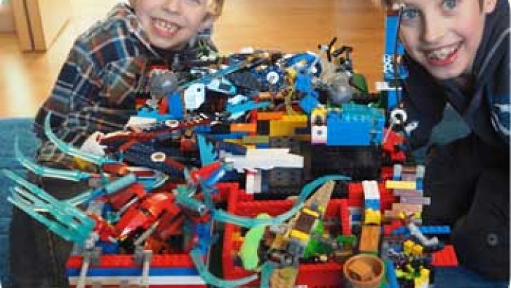 Lego Pet Town