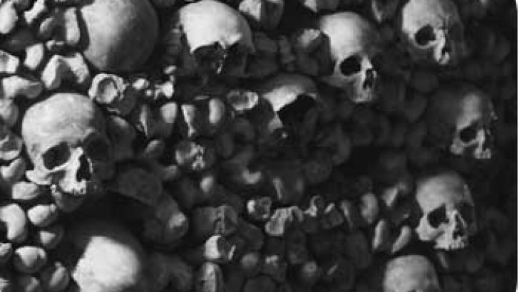 Paris Catacomb Skulls