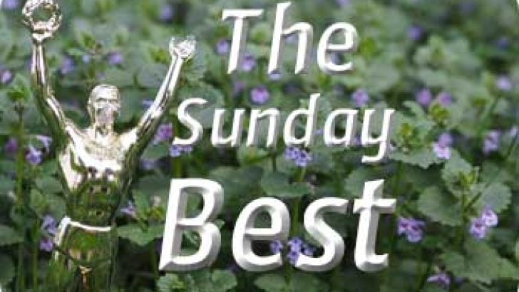 The Sunday Best