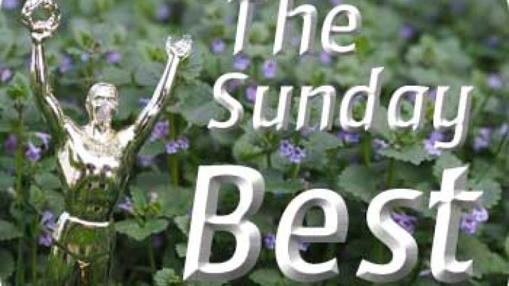 SundayBest