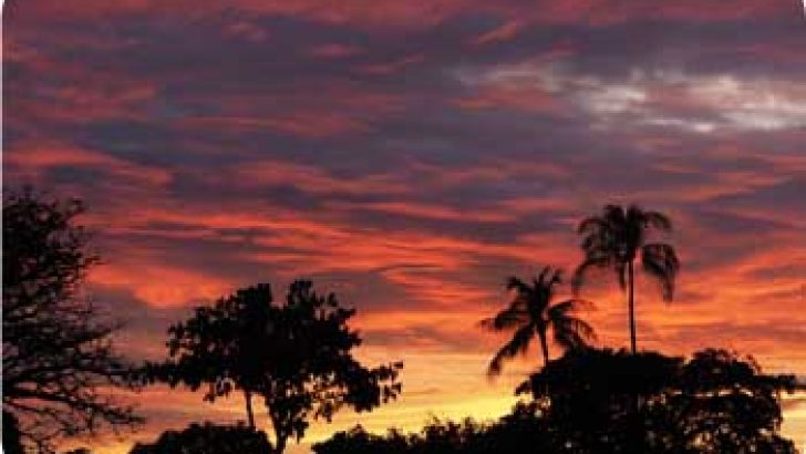 sunset years