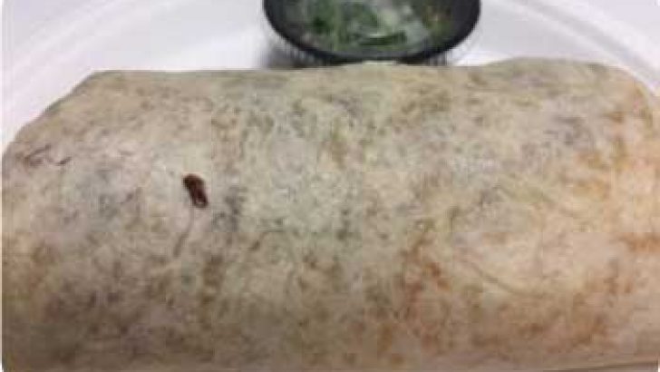 breakfastburritos