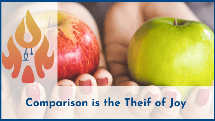 comparison is the thief of joy