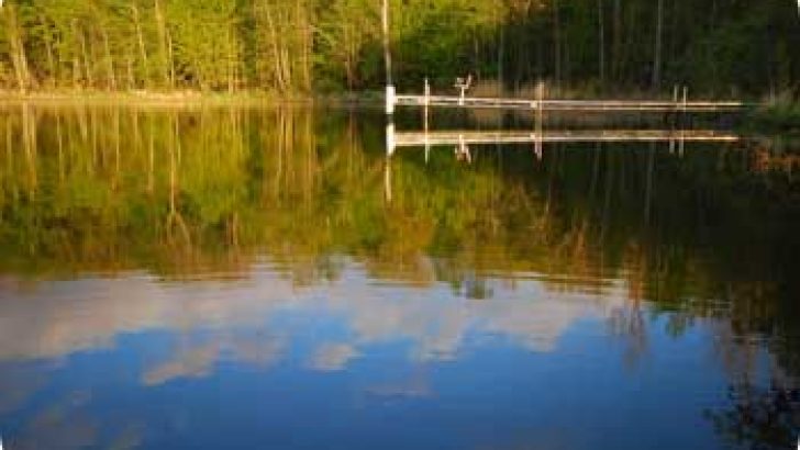dock of the bay