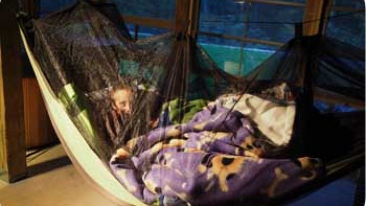 rest in a hammock