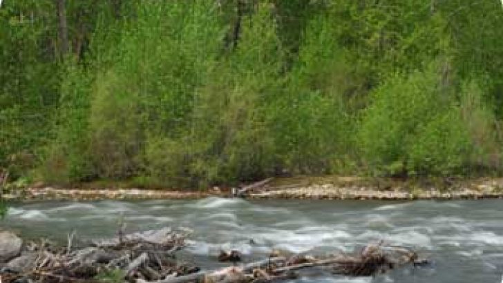 sun valley stream