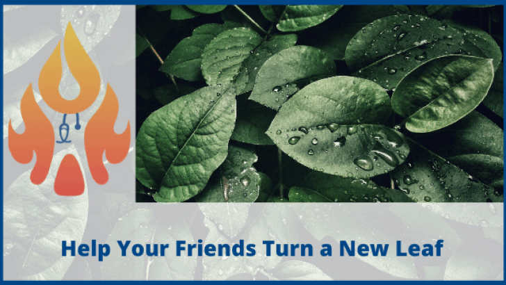 turn a new leaf
