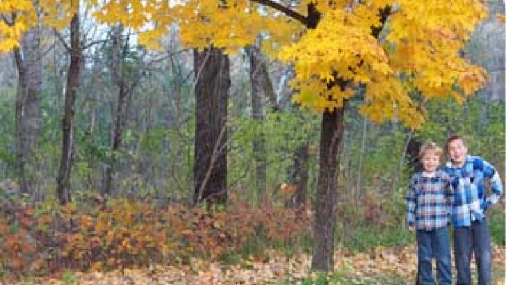 yellow maple family picture